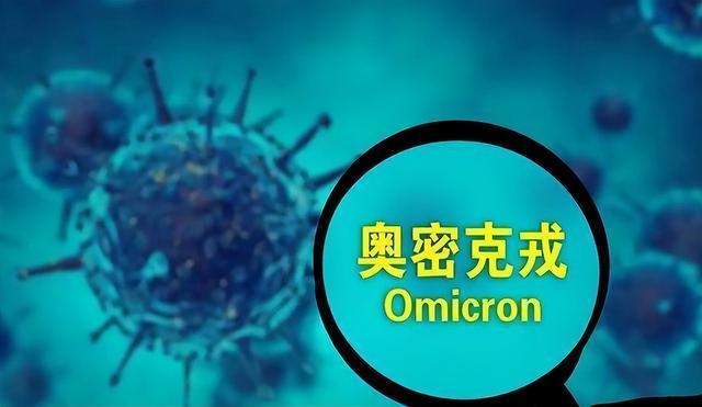 2025年全年免费精准资料请全面释义、解释与落实、专家解答解释落实